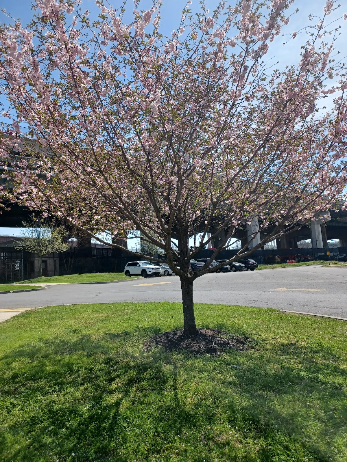 Manhattan Psychiatric Center - Psychiatric Inpatient Unit